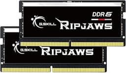 G.SKILL Ripjaws DDR5 SO-DIMM Series DDR5 RAM 64GB (2x32GB) 4800MT/s CL40-39-39-76 1.10V Unbuffered Non-ECC Notebook/Laptop Memory SO-DIMM (F5-4800S4039A32GA2-RS)