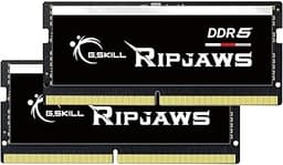 G.SKILL Ripjaws SO-DIMM 32GB (2 x 16GB) 262-Pin DDR5 SO-DIMM DDR5 5600 (PC5 44800) Laptop Memory Model F5-5600S4040A16GX2-RS