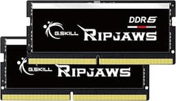 Ripjaws DDR5 SO-DIMM Series DDR5 RAM 96GB (2x48GB) 5600MT/s CL46-45-45-89 1.10V Unbuffered Non-ECC Notebook/Laptop Memory SO-DIMM (F5-5600S4645A48GX2-RS)