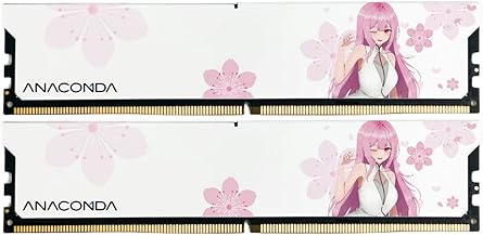 SK Hynix 32GB (2x16) 6400MHz DDR5 RAM module โ ANACOMDA Girl ANA Kingsnake DDR5 RAM 32GB (2 x 16GB) 6400MHz CL36 288-Pin Desktop Memory with Heatsink - Made in Taiwan